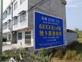 砀山墙体广告质量分析