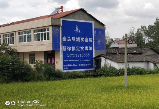 砀山决定墙体广告价格的因素有哪些?