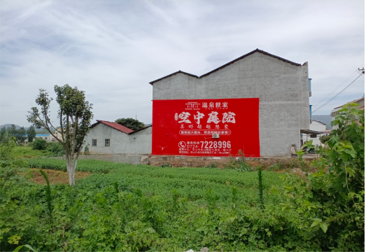 砀山做墙体广告的意义
