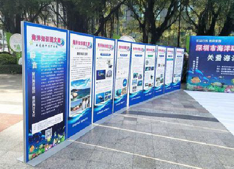 砀山KT板的种类和知识。